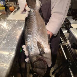 全国から集まる旬の厳選食材