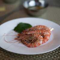 ＳＩＬＩＮ 火龍園 - 