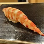 日本橋蛎殻町 すぎた - 車海老握り