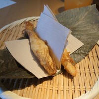 メシモ - 