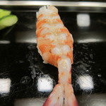 寿司 もり田 - 車海老