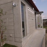 きのストアー - オリーブの木