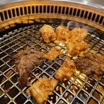 Tsujihorumon - 一人焼肉