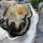 すし豊 - いや～本当に旨い！