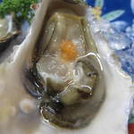 すし豊 - いい味してますよ～