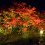 安永餅 - 毎年行ってるイルミネーションは凄い人（●＾o＾●）