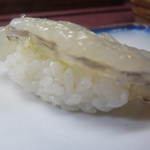 すし豊 - しらさ海老、プリプリ感が溜まらん！