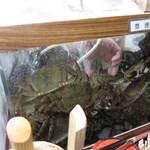 すし豊 - 蟹が逃げます。