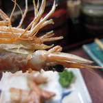 すし豊 - 海老の味噌！濃厚！旨い！