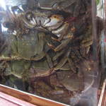 すし豊 - めっちゃ元気な川ガニ達