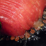 新料理 都留野 - トマトサラダ　ズームアップ