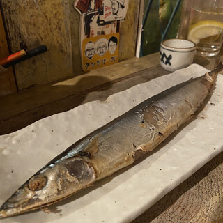 マルショウ アリク_1