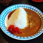 Shouya No Ie - 鹿カレー大盛り！想像以上に富士山！Σ(ﾟﾛﾟ;)ｵｫｰ