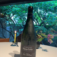 レフェルヴェソンス - 