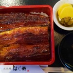 炭焼鰻 はじめ - 