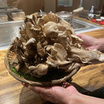 温石 - 天然舞茸