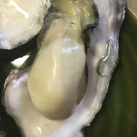 いかだ荘 山上 - 