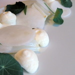 ナクレ - イカ　ナスタチウム　モッツアレッラ　Ⅱ