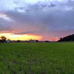 さかなどころ ともさき - 