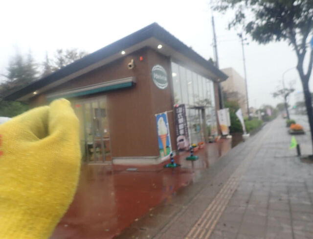 ひまわりのたね - 岩沼（たい焼き・大判焼き）の写真