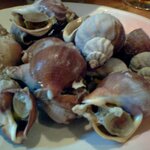 紋乃丞 - つぶ貝