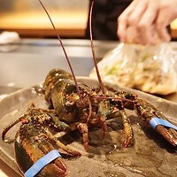 京風鉄板 はせ川 - 