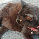 須崎食料品店 - 