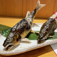 柳家錦 - 良質な鮎の塩焼き