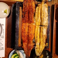 にょろ助 銀座 - 