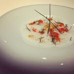 ジョンティ アッシュ - 