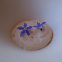 レストラン オオツ - 紅ズワイ蟹