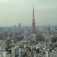オールデイダイニング ハーモニー - 窓から見える景色