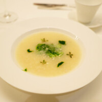 カントニーズ 燕 - 