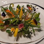 レフェルヴェソンス - 