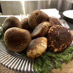 The INNOCENT CARVERY - 