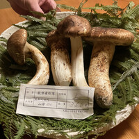 東茶屋 なかむら - 