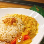 足湯カフェ もみの湯 - 豚肉のココナッツダールカレー 880円