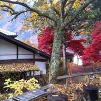 旅舎右馬允 - 
