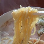 半畳 - 森住製麺の中太縮れ麺