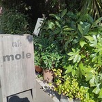 MOLE - 