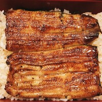 うなぎ割烹 大江戸 - 