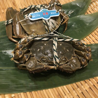 中国料理 礼華 四君子草 - 