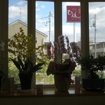 焼肉ひえん - 店内からの風景