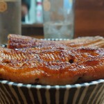 かぶと - うな丼（横から）