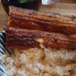 かぶと - うな丼