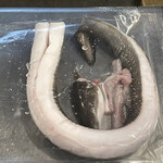 A e B - 横山さんの鰻