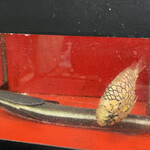 A e B - こばんざめとまつかさうお