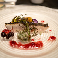 ラ・ブランシュ - 2021.10 山形庄内産鰆ミキュイ 鰆のタルタル 柿と林檎のタルタル ビーツとマスタードのソース 山葡萄
