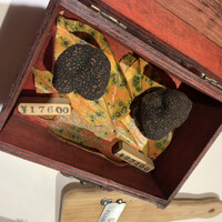 マルゴット エ バッチャーレ - 