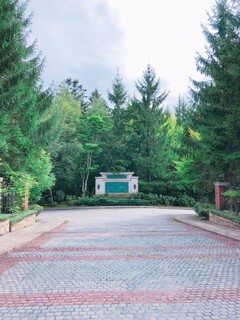 中国料理 翆陽 - 